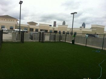 A green lawn in front of a building.